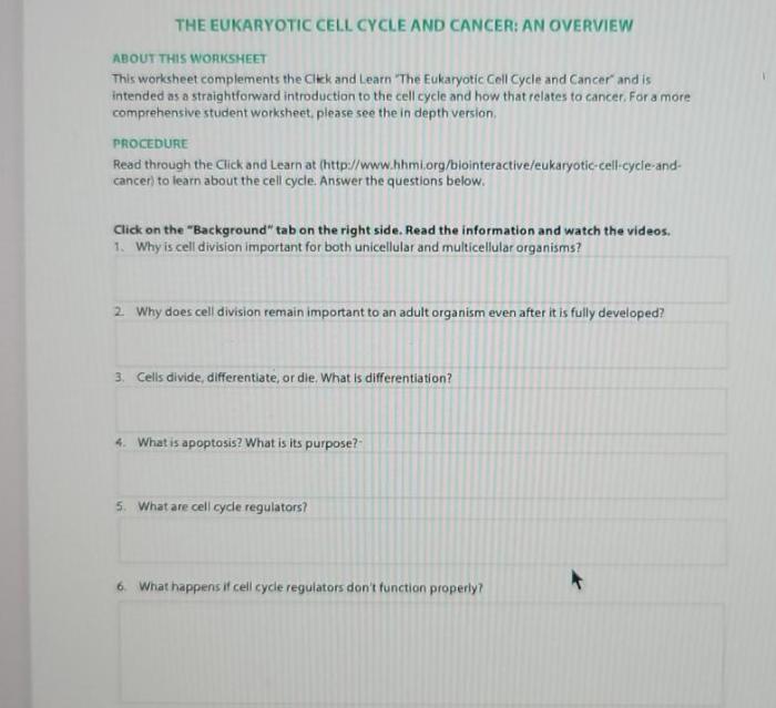 Click and learn the eukaryotic cell cycle and cancer answers