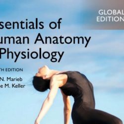 Essentials of human anatomy & physiology laboratory manual 7th edition