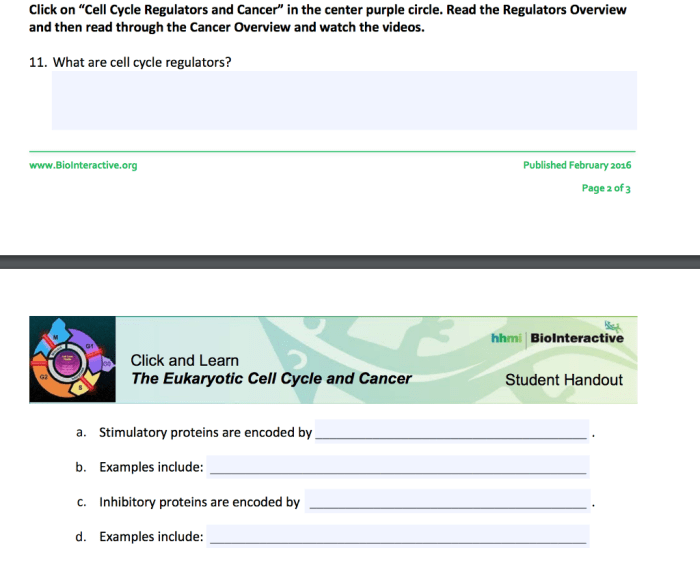 Click and learn the eukaryotic cell cycle and cancer answers